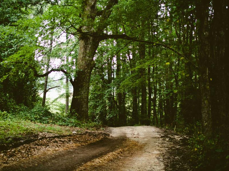 sudoku pattern learning screenshot 1
